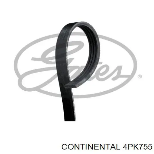 4PK755 Continental/Siemens Correia dos conjuntos de transmissão