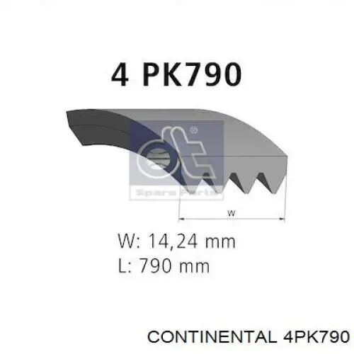Correia dos conjuntos de transmissão Continental/Siemens 4PK790 preço, a partir de 12,10 USD