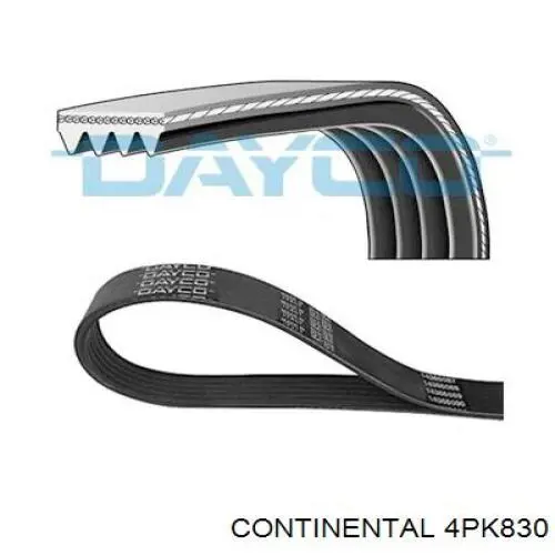 4PK830 Continental/Siemens Correia dos conjuntos de transmissão