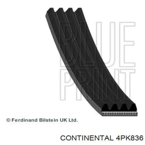 Compre 4PK836 Continental/Siemens Correia dos conjuntos de transmissão
