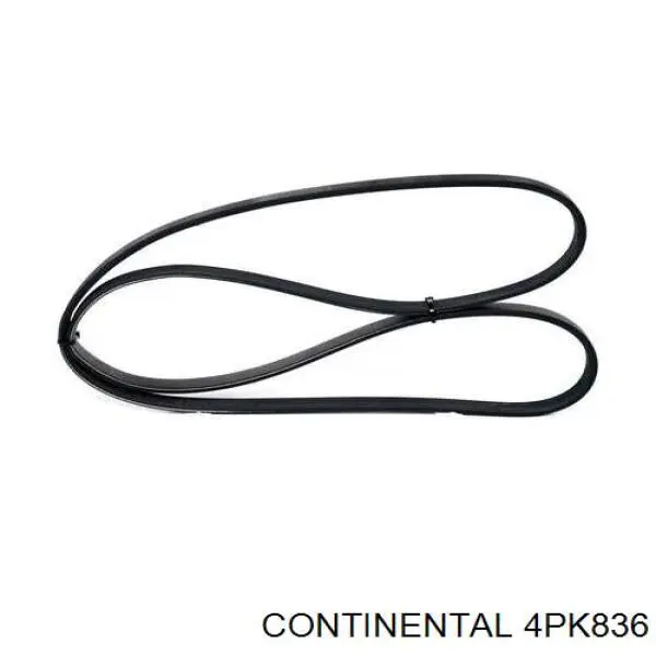 Correia dos conjuntos de transmissão 4PK836 Continental/Siemens