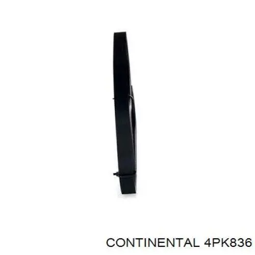 Correia dos conjuntos de transmissão Continental/Siemens 4PK836