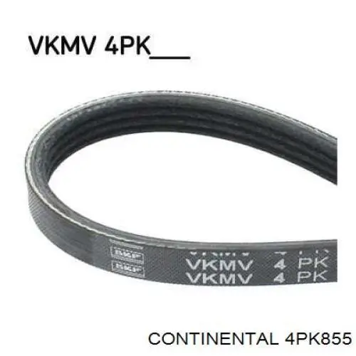 4PK855 Continental/Siemens Correia dos conjuntos de transmissão