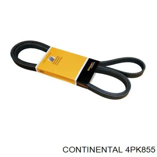 Correia dos conjuntos de transmissão Continental/Siemens 4PK855 preço, a partir de 9,13 USD