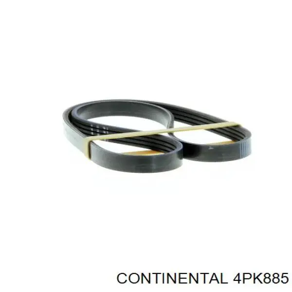 Compre 4PK885 Continental/Siemens Correia dos conjuntos de transmissão