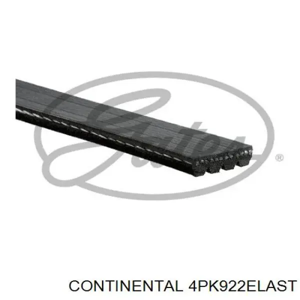 Compre 4PK922ELAST Continental/Siemens Correia dos conjuntos de transmissão