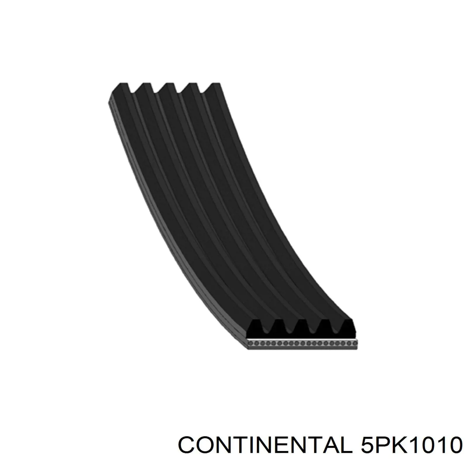 Compre 5PK1010 Continental/Siemens Correia dos conjuntos de transmissão