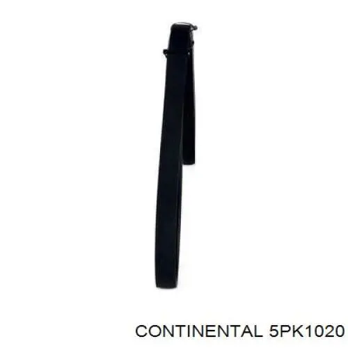 Compre 5PK1020 Continental/Siemens Correia dos conjuntos de transmissão