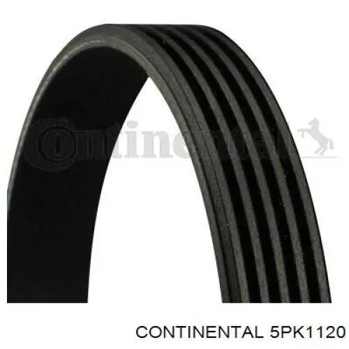 Correia dos conjuntos de transmissão Continental/Siemens 5PK1120 preço, a partir de 13,98 USD