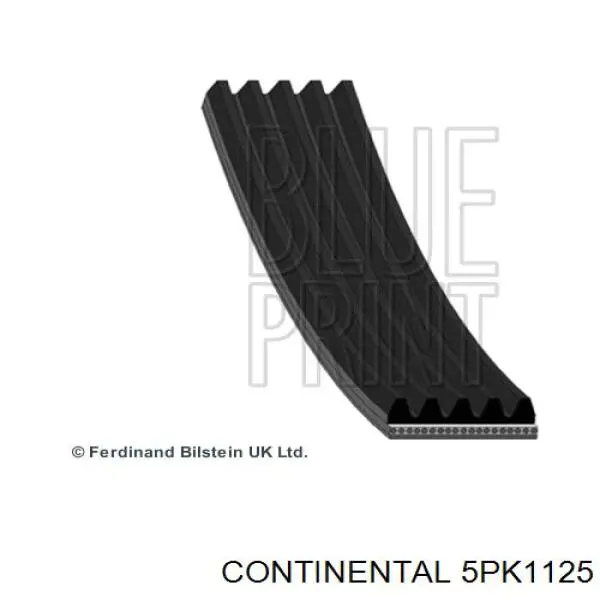 Correia dos conjuntos de transmissão Continental/Siemens 5PK1125 preço, a partir de 12,91 USD