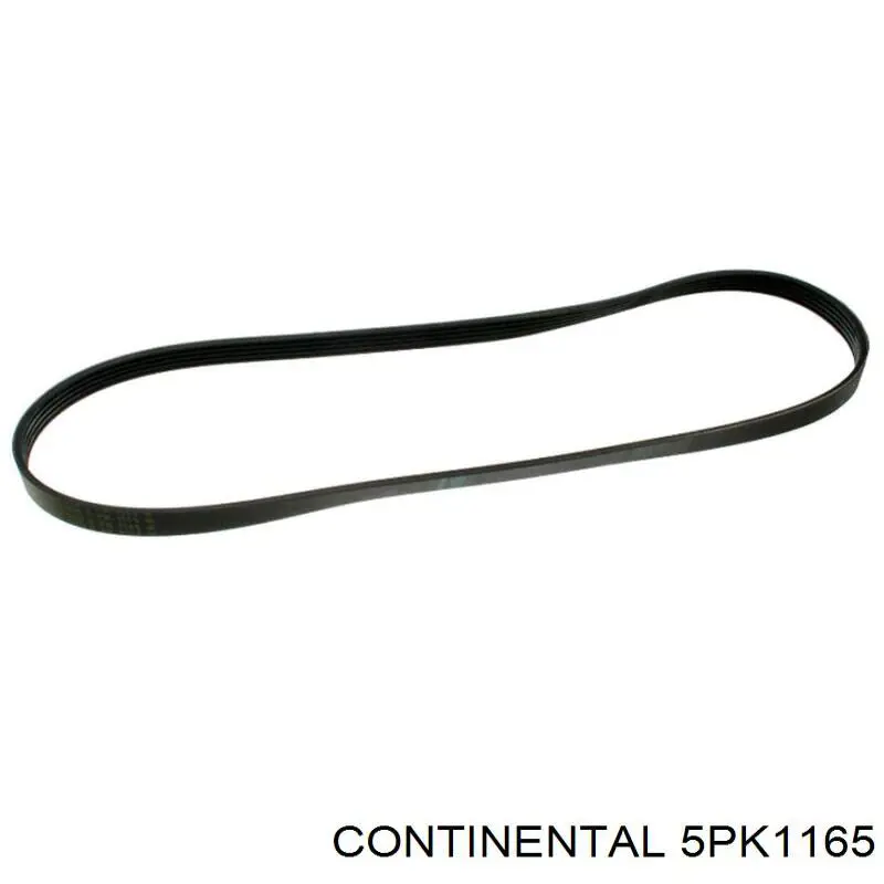 Correia dos conjuntos de transmissão Continental/Siemens 5PK1165 preço, a partir de 13,53 USD