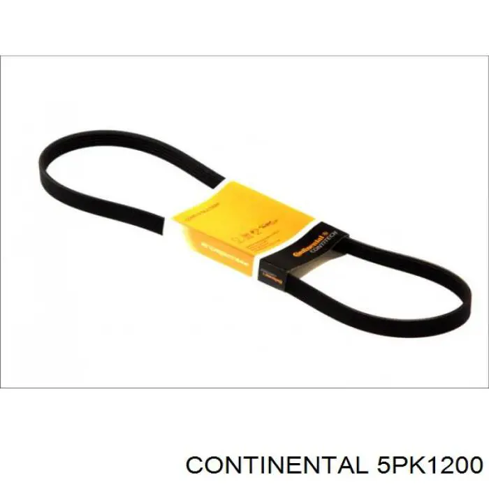 5PK1200 Continental/Siemens Correia dos conjuntos de transmissão