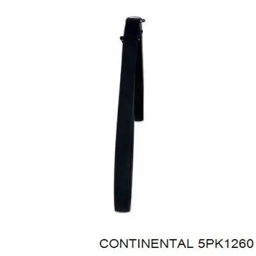 Compre 5PK1260 Continental/Siemens Correia dos conjuntos de transmissão