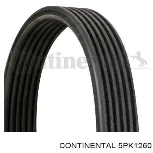 Correia dos conjuntos de transmissão Continental/Siemens 5PK1260 preço, a partir de 14,88 USD