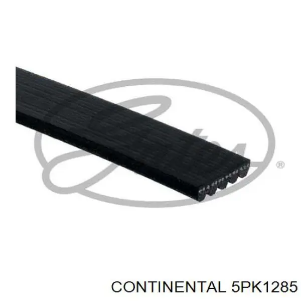 Correia dos conjuntos de transmissão Continental/Siemens 5PK1285 preço, a partir de 14,98 USD