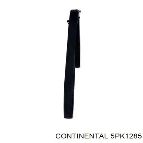 Compre 5PK1285 Continental/Siemens Correia dos conjuntos de transmissão