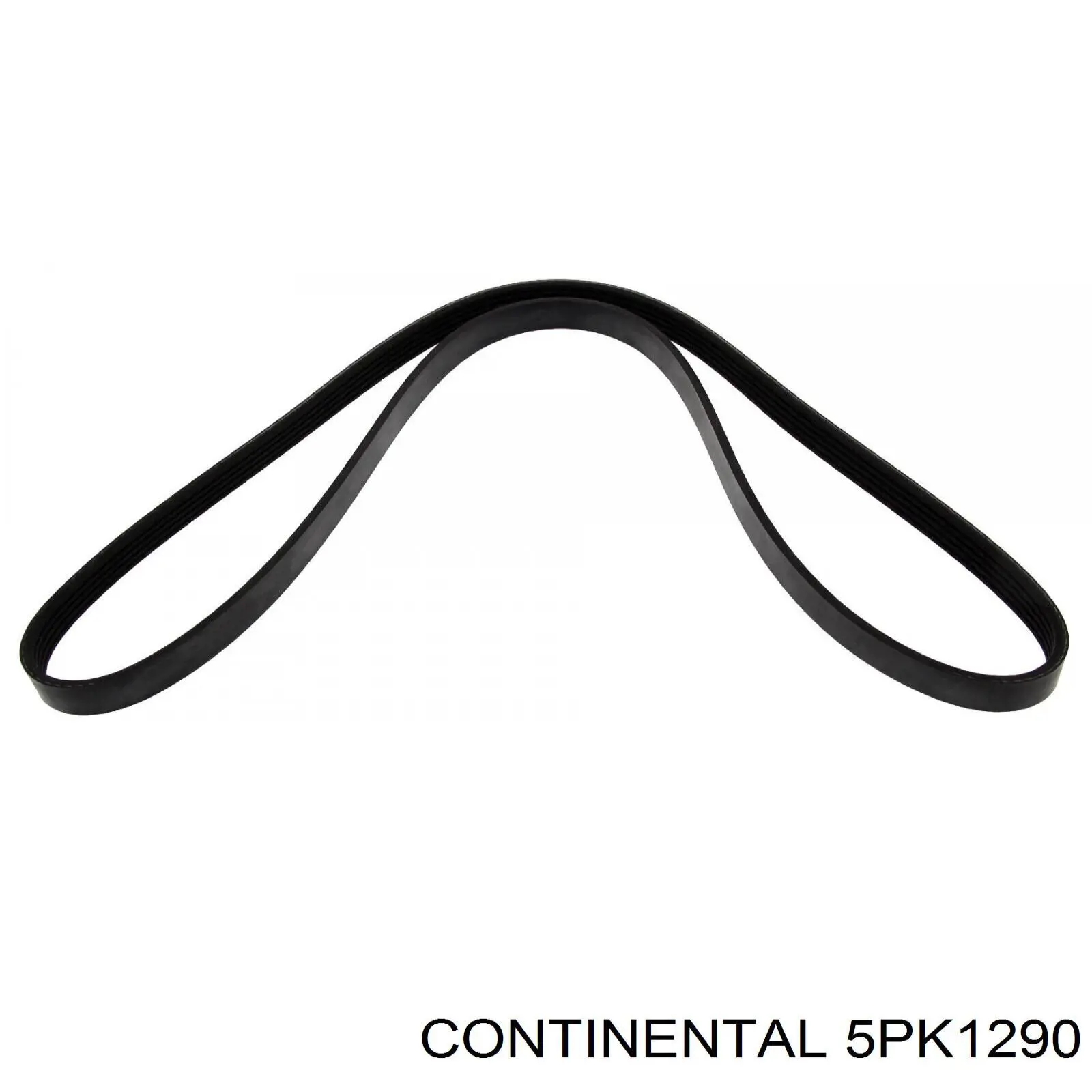 Compre 5PK1290 Continental/Siemens Correia dos conjuntos de transmissão