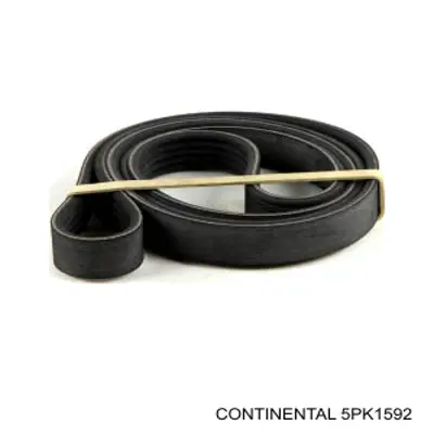 5PK1592 Continental/Siemens Correia dos conjuntos de transmissão