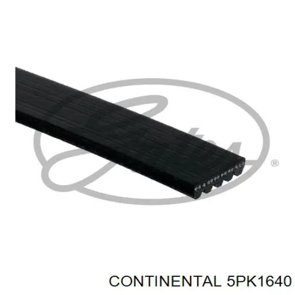 Correia dos conjuntos de transmissão Continental/Siemens 5PK1640 preço, a partir de 17,42 USD
