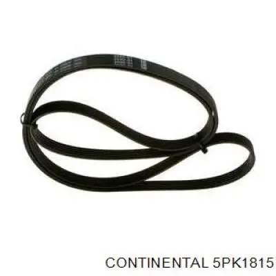 Correia dos conjuntos de transmissão Continental/Siemens 5PK1815 preço, a partir de 19,51 USD