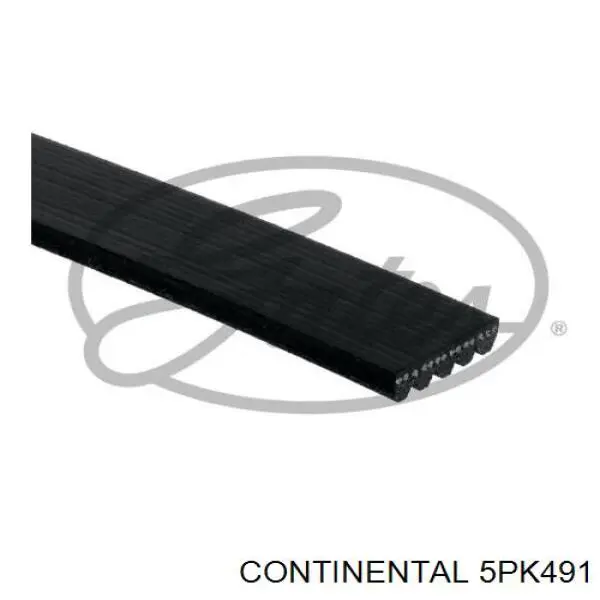 5PK491 Continental/Siemens Correia dos conjuntos de transmissão
