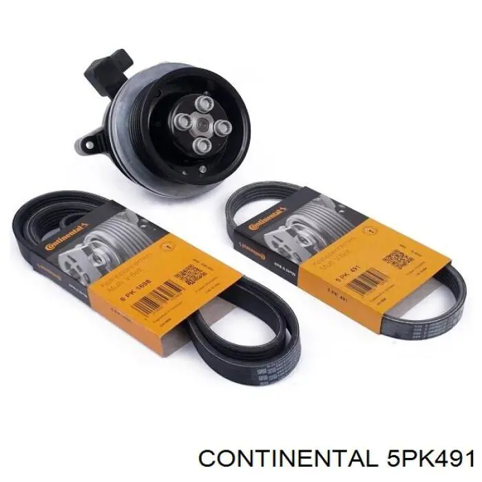 Correia dos conjuntos de transmissão Continental/Siemens 5PK491