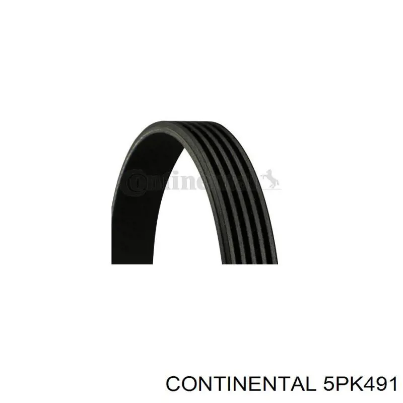 Correia dos conjuntos de transmissão Continental/Siemens 5PK491 preço, a partir de 12,73 USD