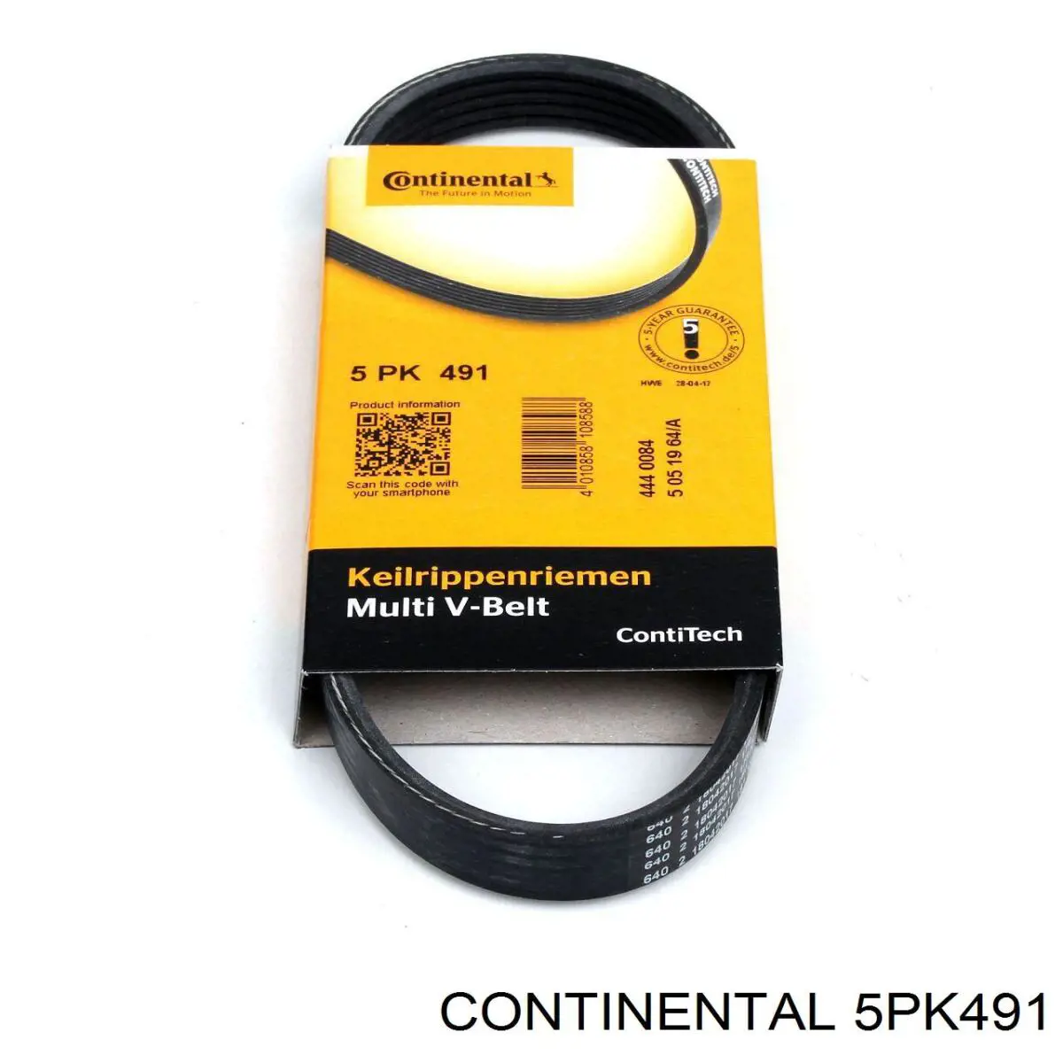 Compre 5PK491 Continental/Siemens Correia dos conjuntos de transmissão