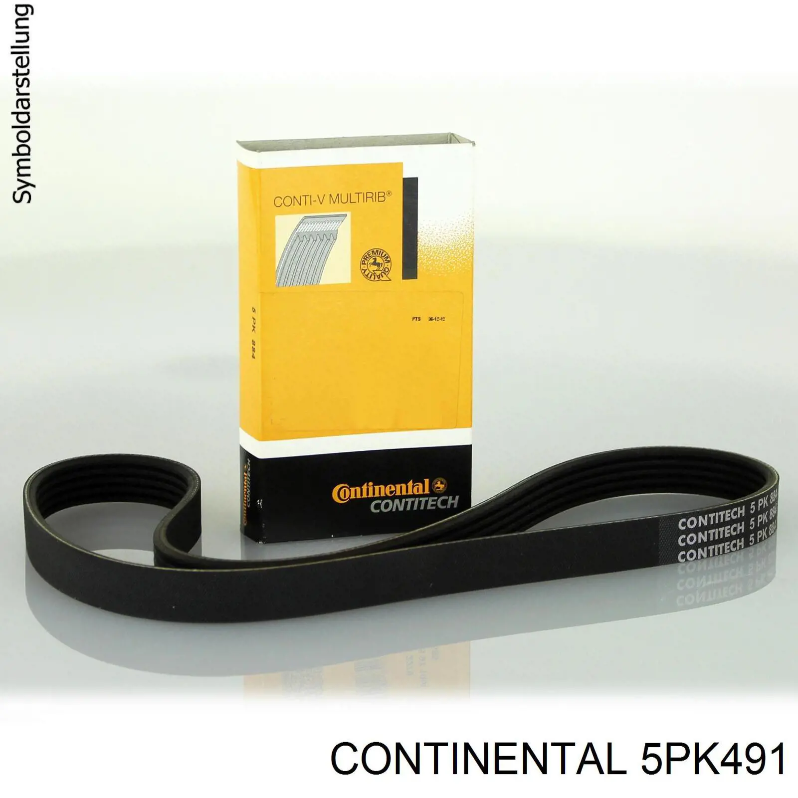 5PK491 Continental/Siemens Correia dos conjuntos de transmissão