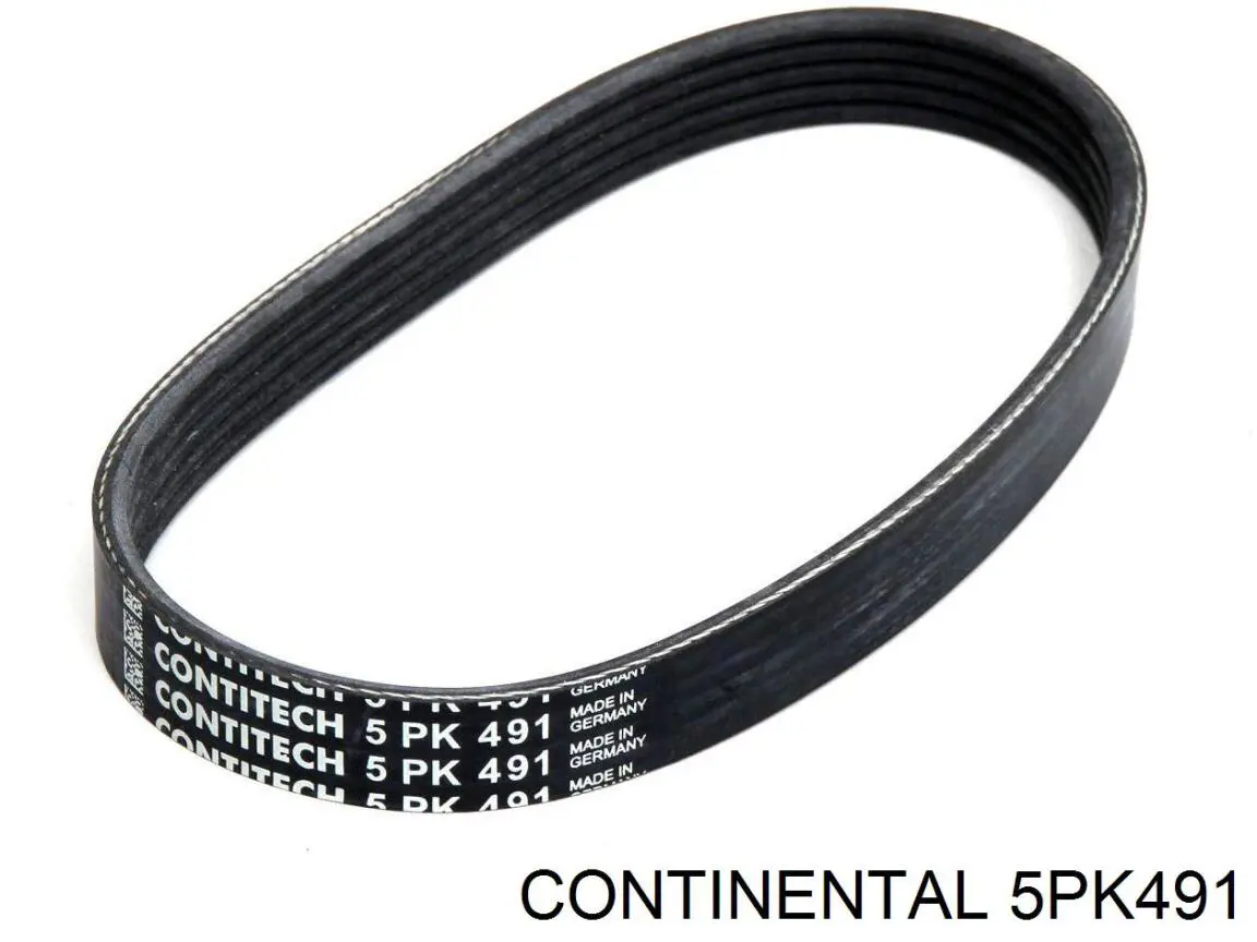 Compre 5PK491 Continental/Siemens Correia dos conjuntos de transmissão
