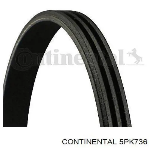 Compre 5PK736 Continental/Siemens Correia dos conjuntos de transmissão