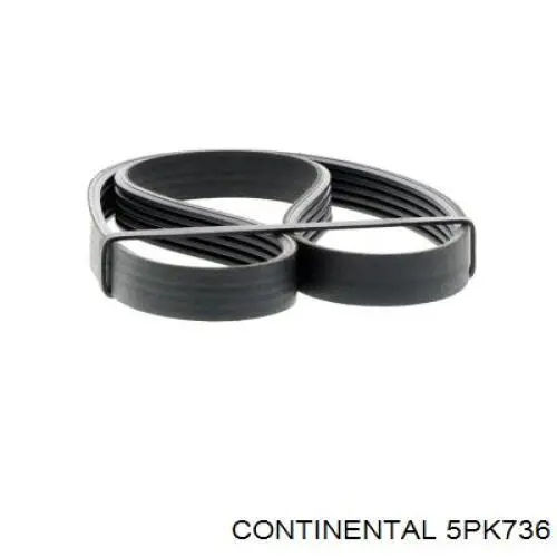 Correia dos conjuntos de transmissão Continental/Siemens 5PK736 preço, a partir de 15,88 USD