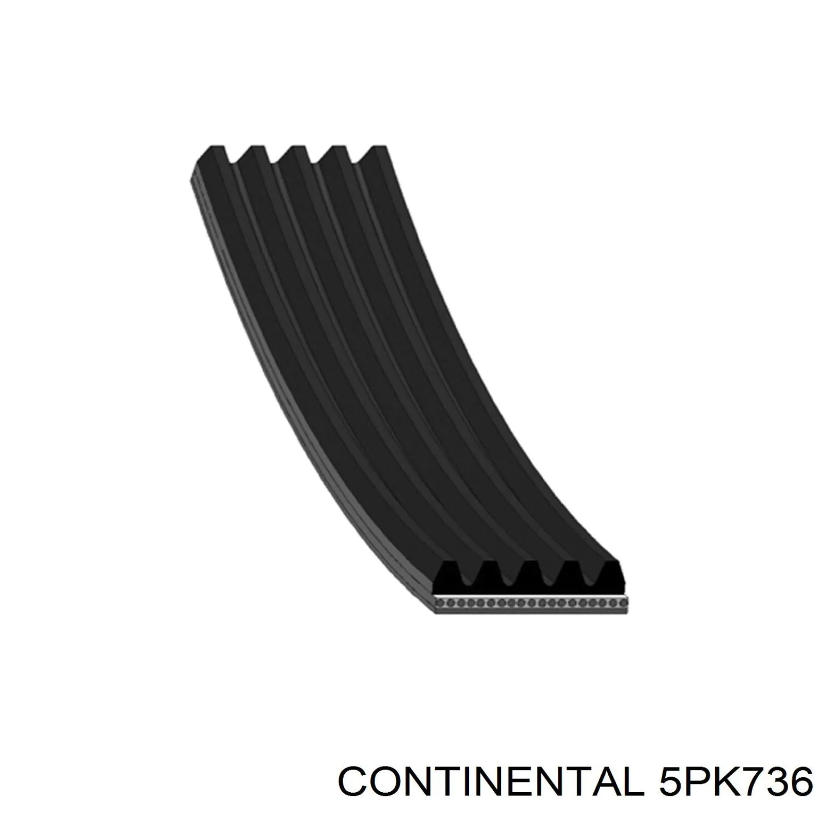 Correia dos conjuntos de transmissão Continental/Siemens 5PK736 preço, a partir de 15,88 USD