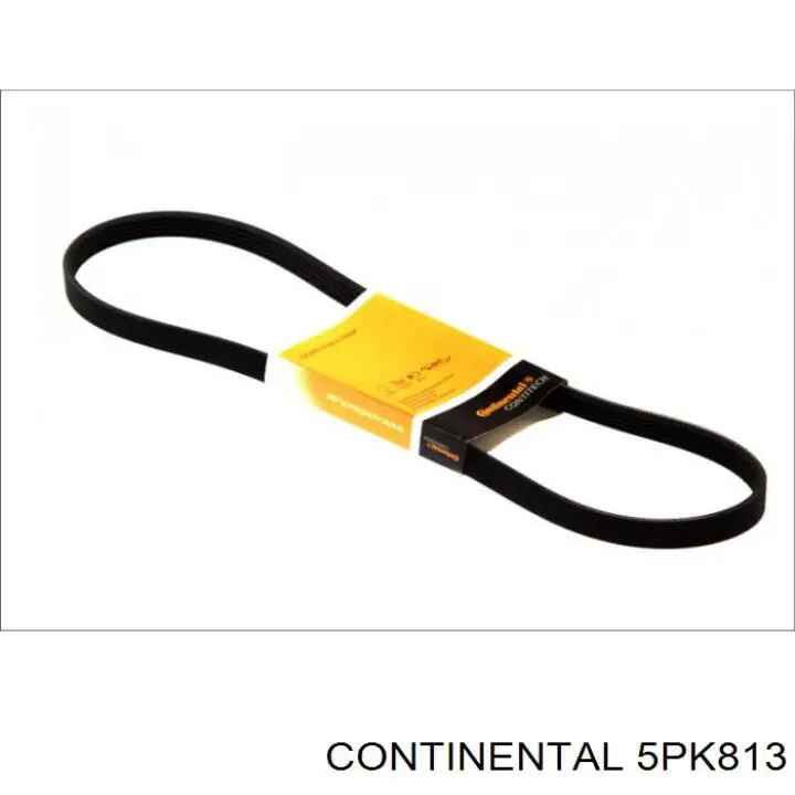 Compre 5PK813 Continental/Siemens Correia dos conjuntos de transmissão