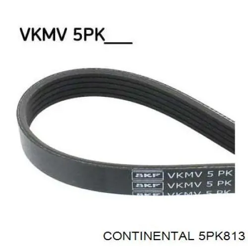 5PK813 Continental/Siemens Correia dos conjuntos de transmissão
