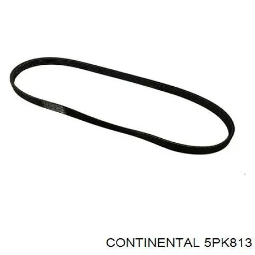 Correia dos conjuntos de transmissão Continental/Siemens 5PK813 preço, a partir de 12,69 USD