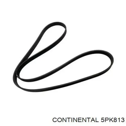 Correia dos conjuntos de transmissão Continental/Siemens 5PK813