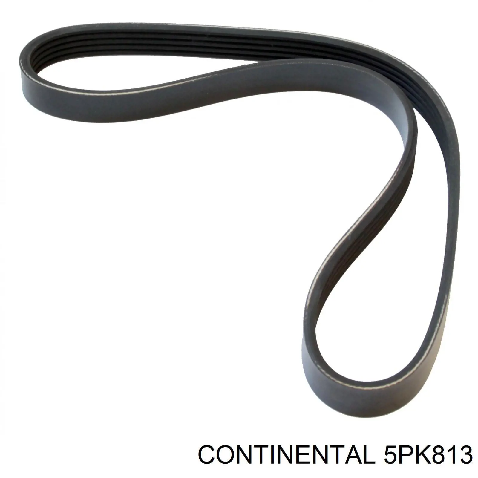 Correia dos conjuntos de transmissão Continental/Siemens 5PK813 preço, a partir de 12,69 USD