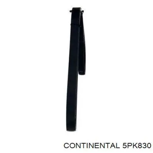 5PK830 Continental/Siemens Correia dos conjuntos de transmissão