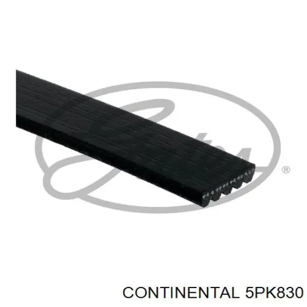 Correia dos conjuntos de transmissão Continental/Siemens 5PK830 preço, a partir de 12,54 USD