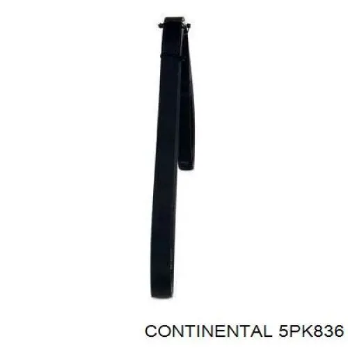 Correia dos conjuntos de transmissão Continental/Siemens 5PK836 preço, a partir de 12,10 USD