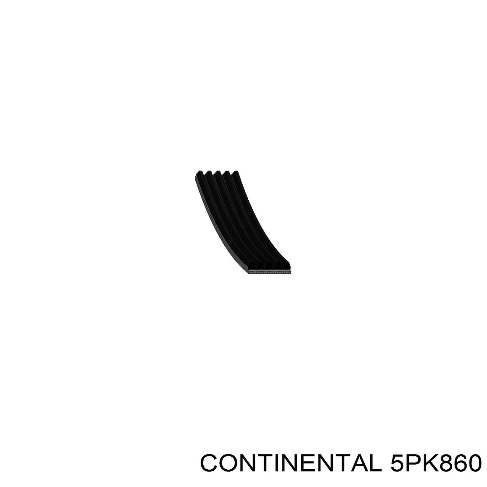 5PK860 Continental/Siemens Correia dos conjuntos de transmissão