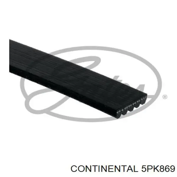 Compre 5PK869 Continental/Siemens Correia dos conjuntos de transmissão