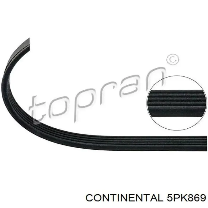 Correia dos conjuntos de transmissão Continental/Siemens 5PK869 preço, a partir de 12,44 USD