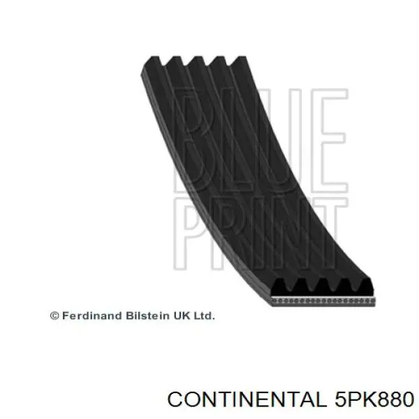 Correia dos conjuntos de transmissão Continental/Siemens 5PK880