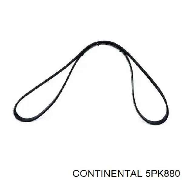 5PK880 Continental/Siemens Correia dos conjuntos de transmissão