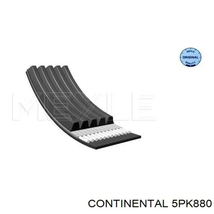 5PK880 Continental/Siemens Correia dos conjuntos de transmissão