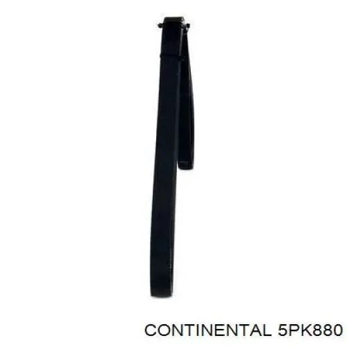 Correia dos conjuntos de transmissão Continental/Siemens 5PK880 preço, a partir de 10,79 USD