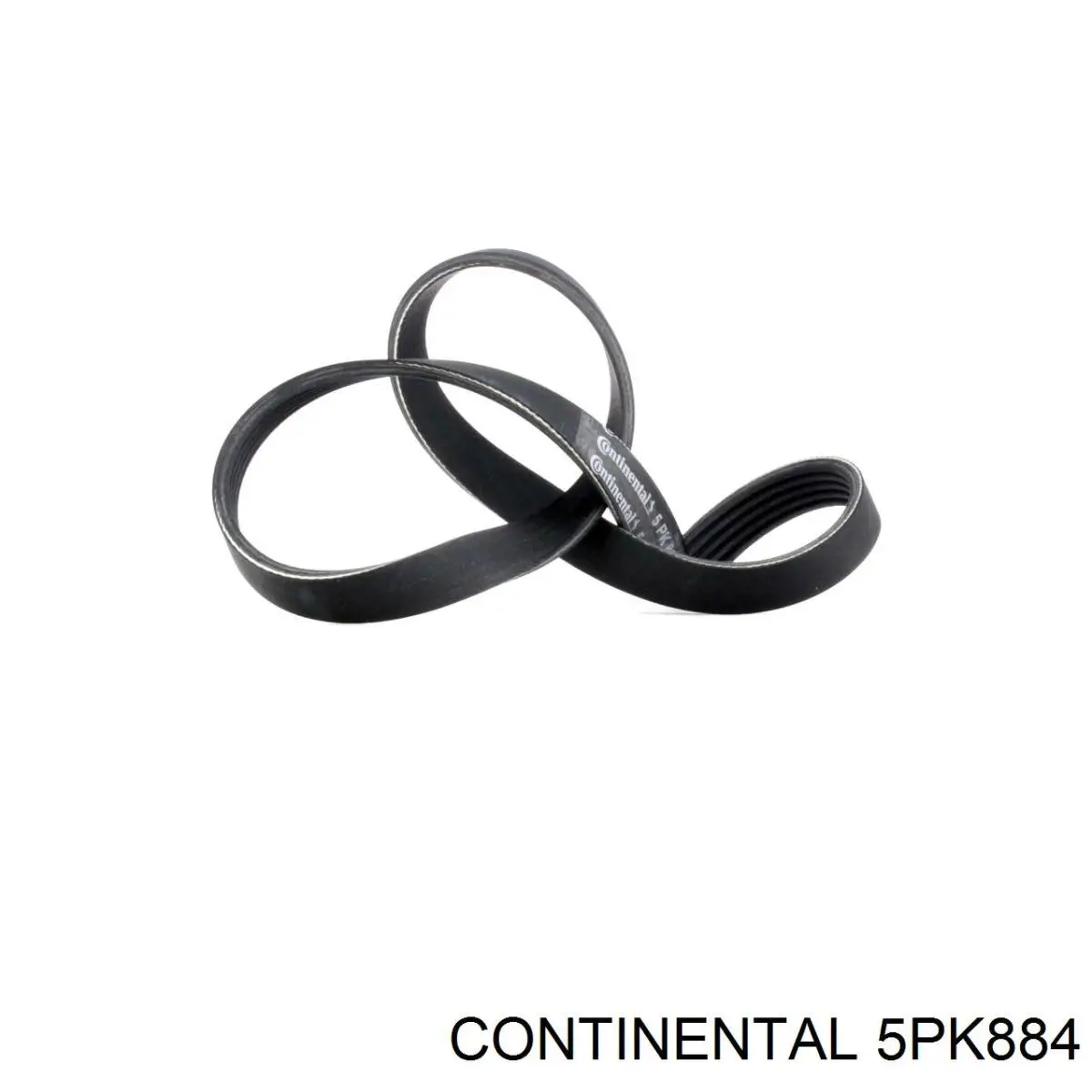 5PK884 Continental/Siemens Correia dos conjuntos de transmissão