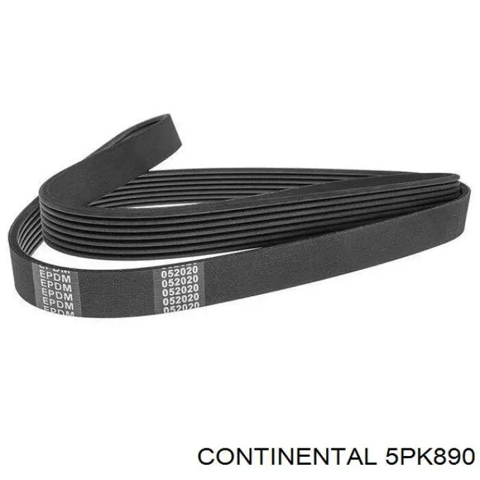Correia dos conjuntos de transmissão Continental/Siemens 5PK890 preço, a partir de 10,01 USD